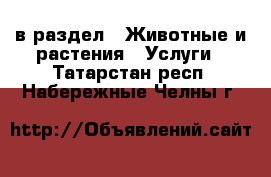  в раздел : Животные и растения » Услуги . Татарстан респ.,Набережные Челны г.
